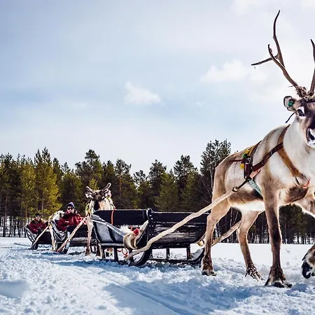 Hotelli Harriniva Adventure Muonio