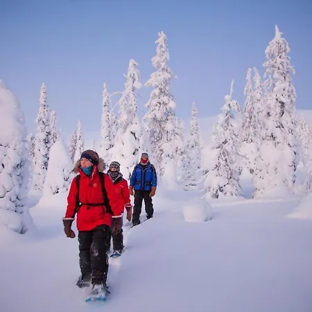 Harriniva Adventure 2* Muonio