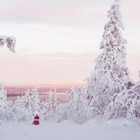 Harriniva Adventure 2*