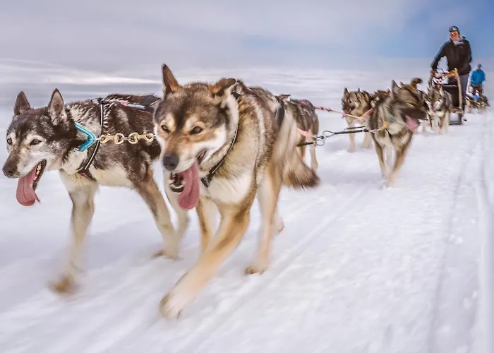 فندق Harriniva Adventure