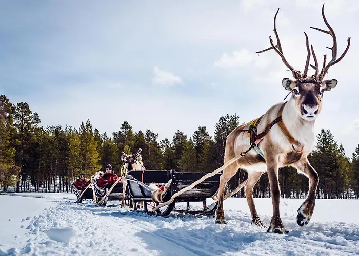 Hotel Harriniva Adventure Resort Muonio