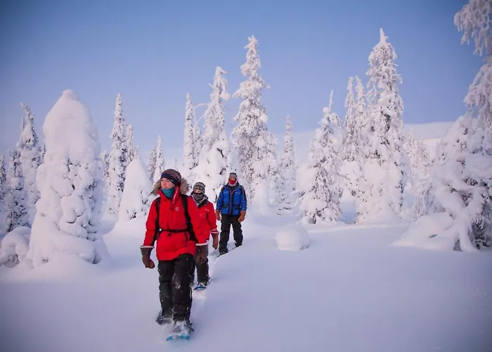 Harriniva Adventure 2* مونيو