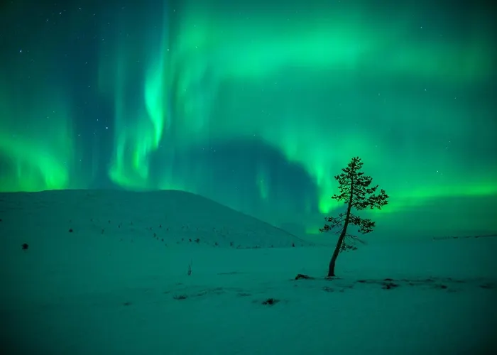 Harriniva Adventure فندق